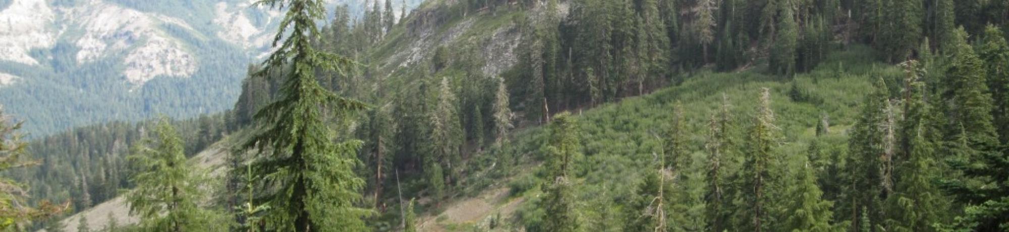 Distant view of upper meadow area