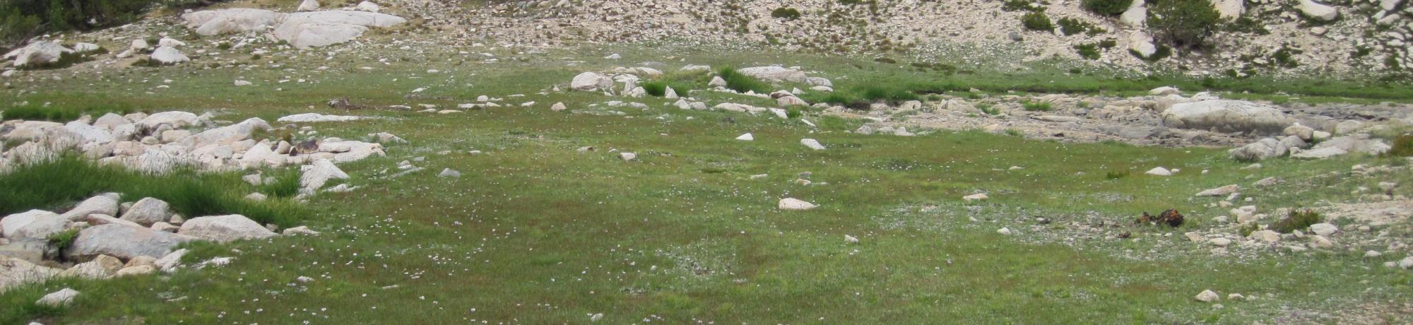 Upper Transect Left to Right