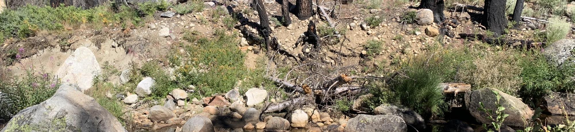 Lyons Creek channel