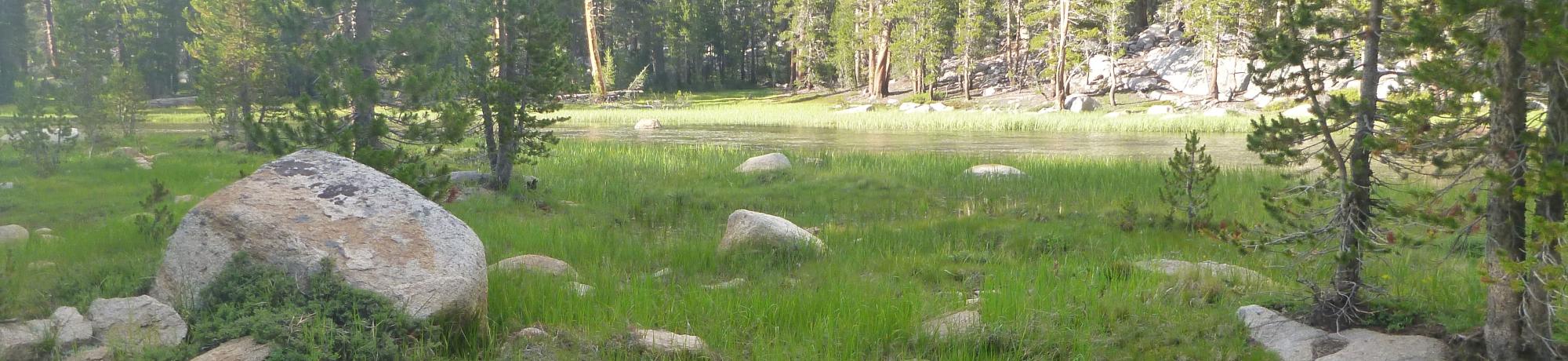 Lower Transect Left to Right Overview