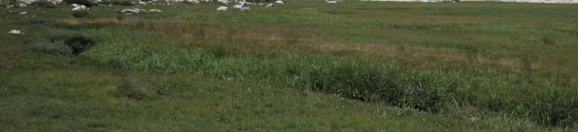 Lower Transect Left to Right Overview