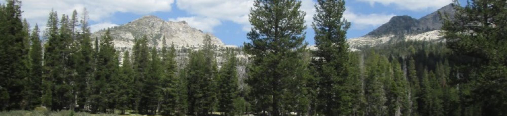 Middle Transect (right to left)