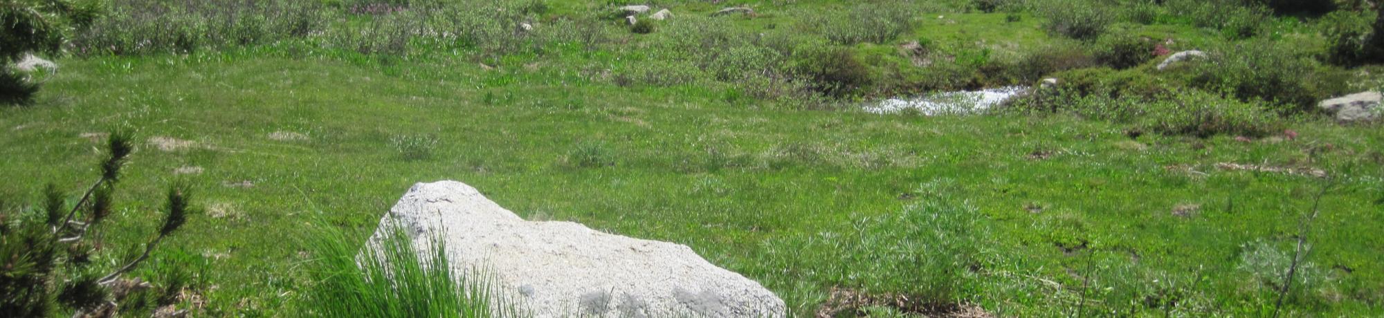 Middle Transect Left to Right Overview