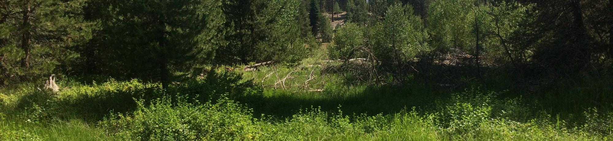 Middle Transect Overview (right to left)