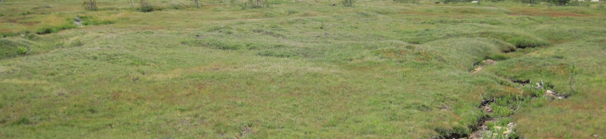 Middle Transect Right to Left Overview