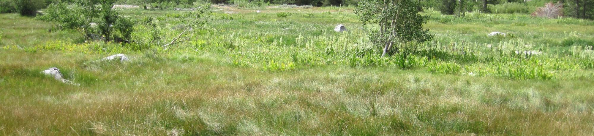 Middle Transect Right to Left Overview