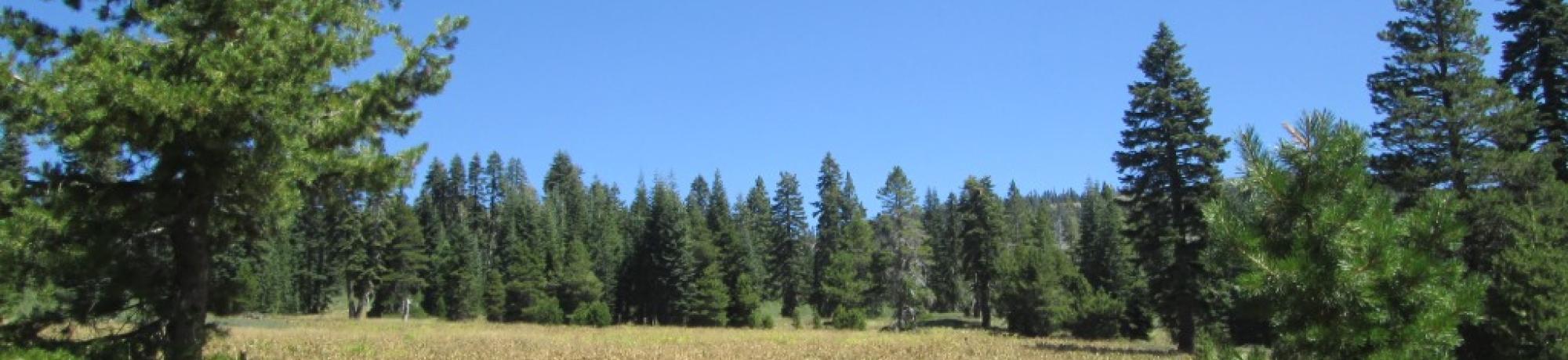 Open Area Above Polygon