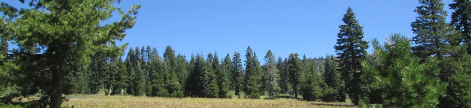 Open Area Above Polygon