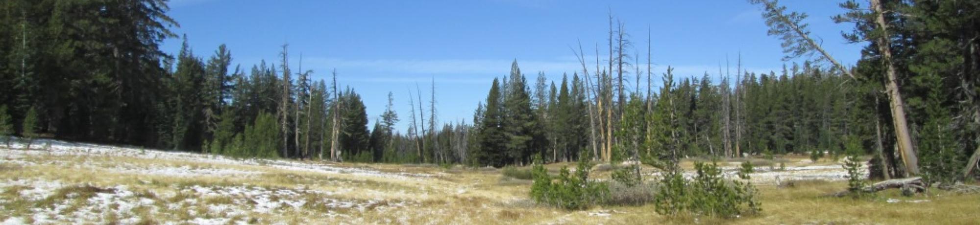 Point 1 Top of Meadow