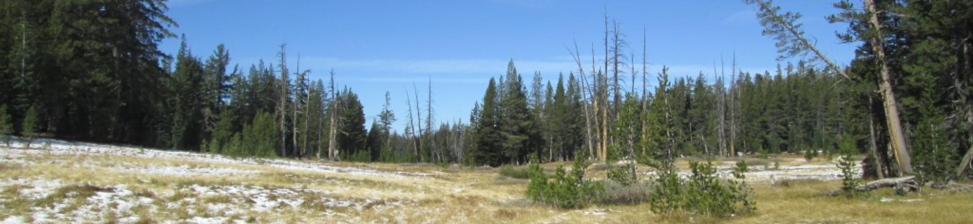 Point 1 Top of Meadow