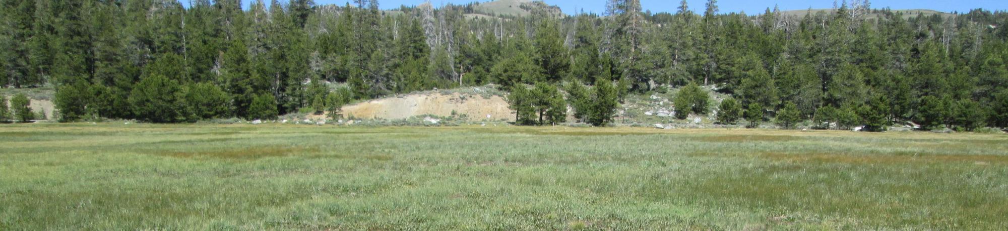 Start of lower transect, looking east