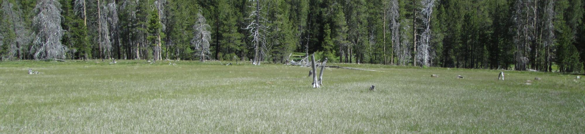 Start of middle transect, looking north