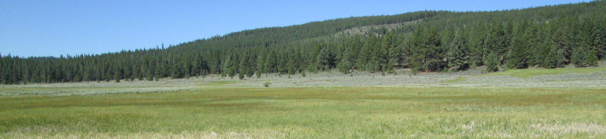 Start of upper transect, looking northwest