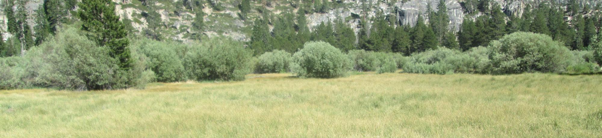 Start of upper transect, looking southeast