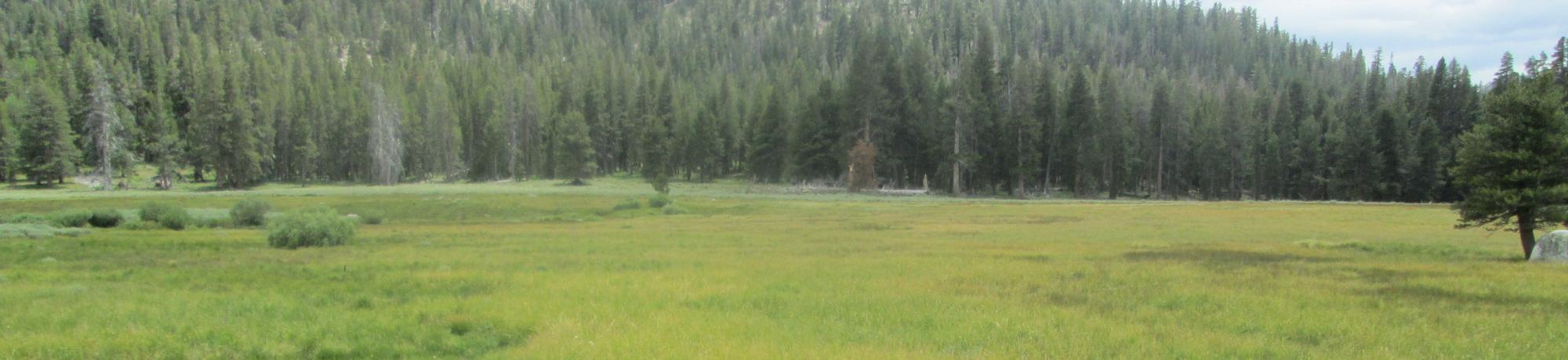 Start of upper transect, looking southwest
