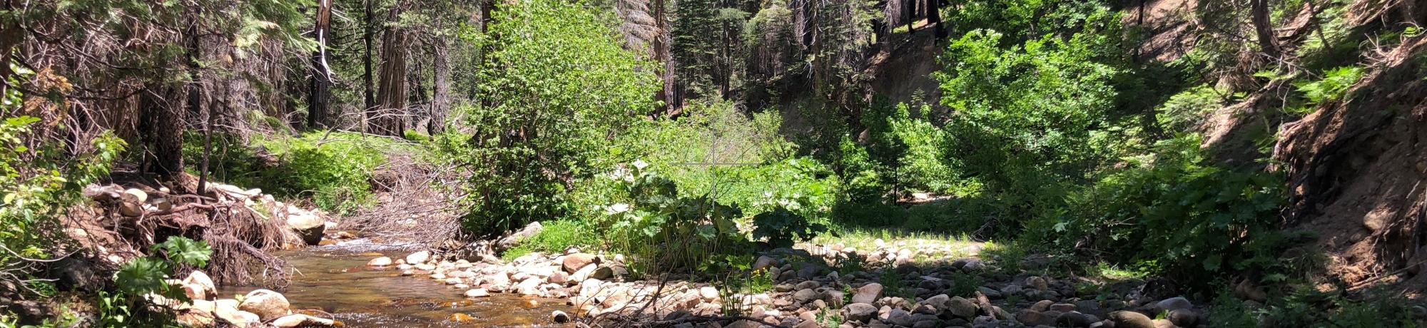 Meiss Creek