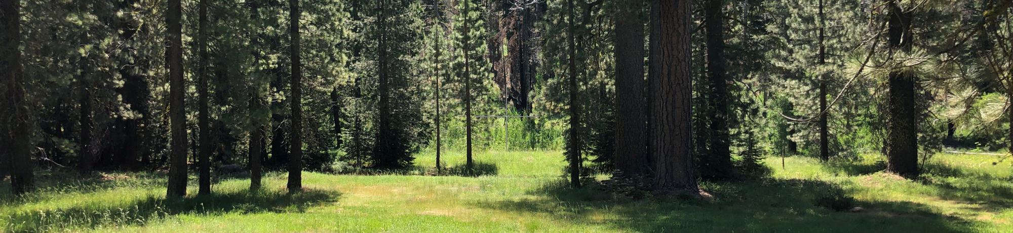 AA Creek