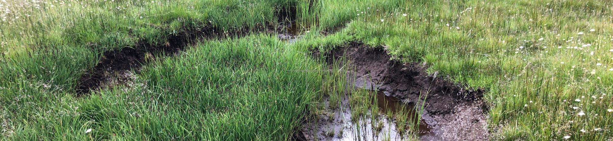 Round Meadow side channel