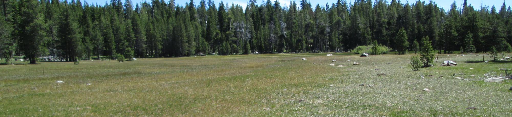 Top of meadow looking east