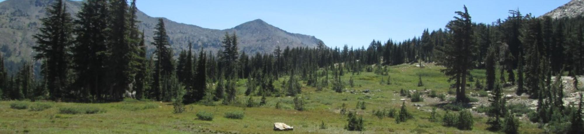 Transect 2 (left to right)