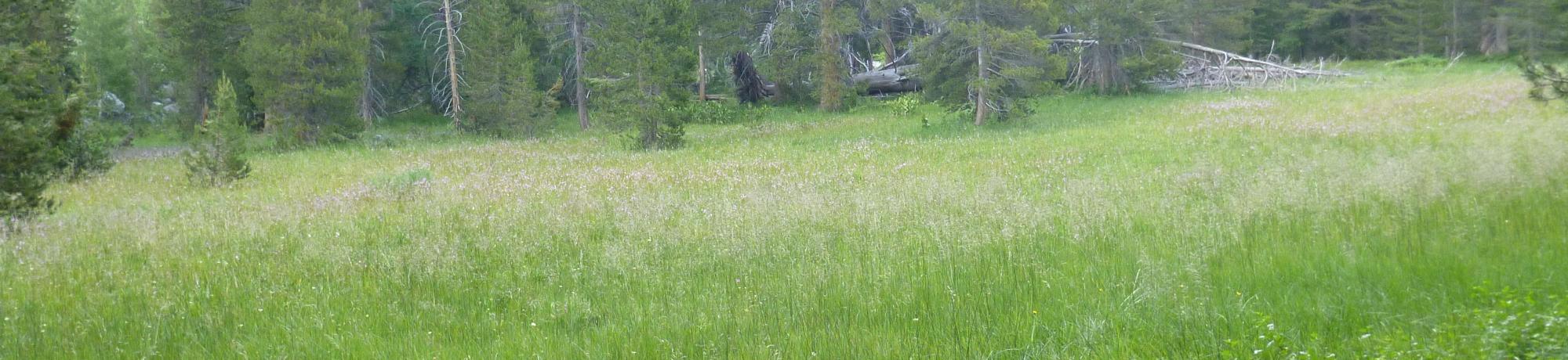 Transect 2 Overview (left to right)