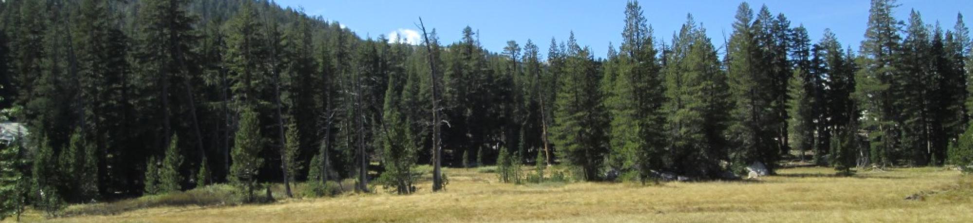Transect 2, right to left