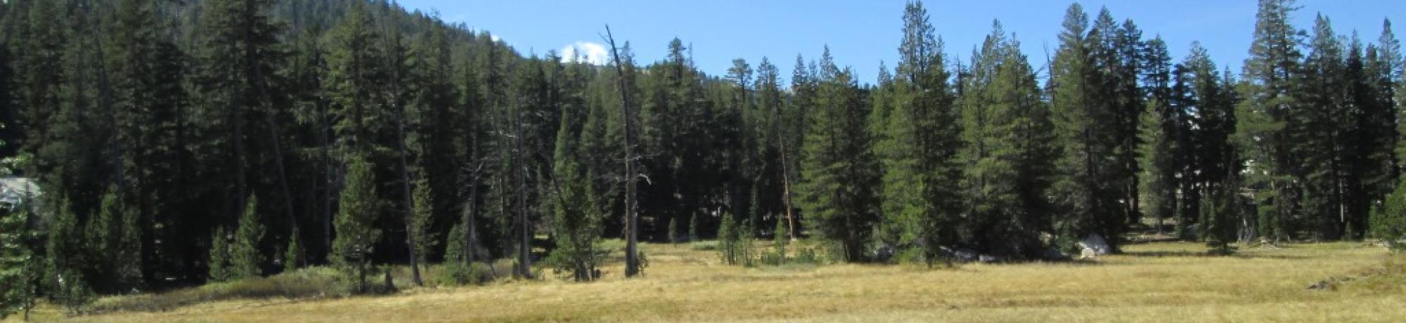 Transect 2, right to left