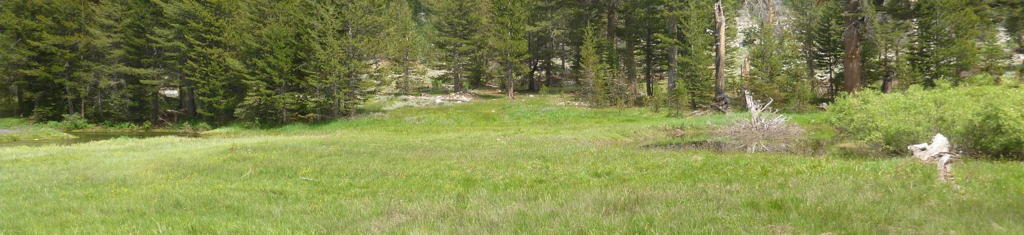 Transect 3 (left to right)