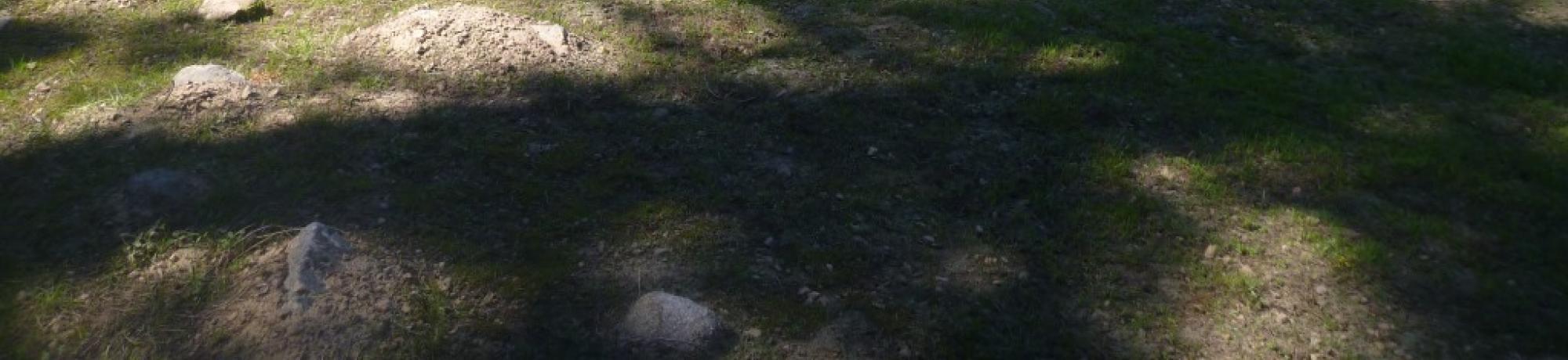 Transect, left to right