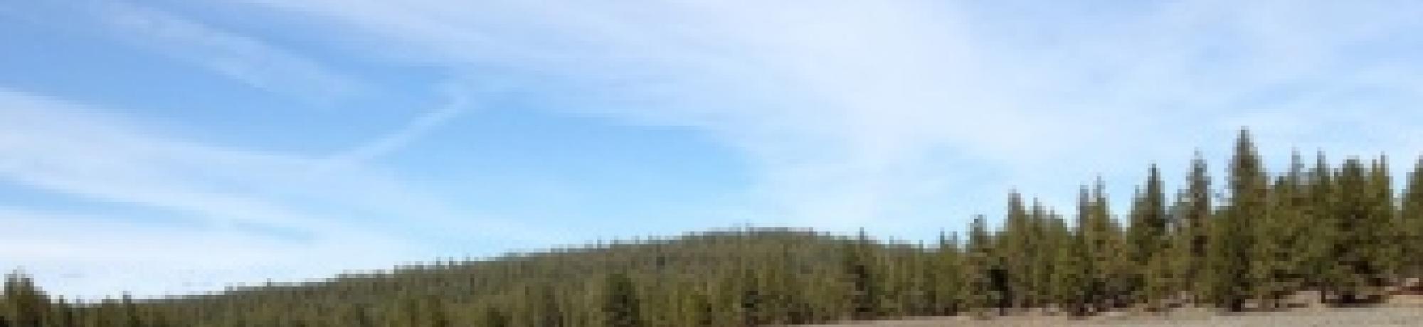 Upper Transect (downstream)