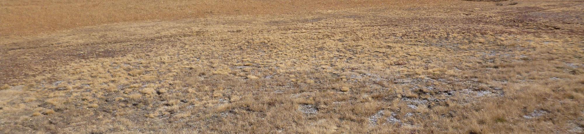 Upper Transect Overview (left to right)