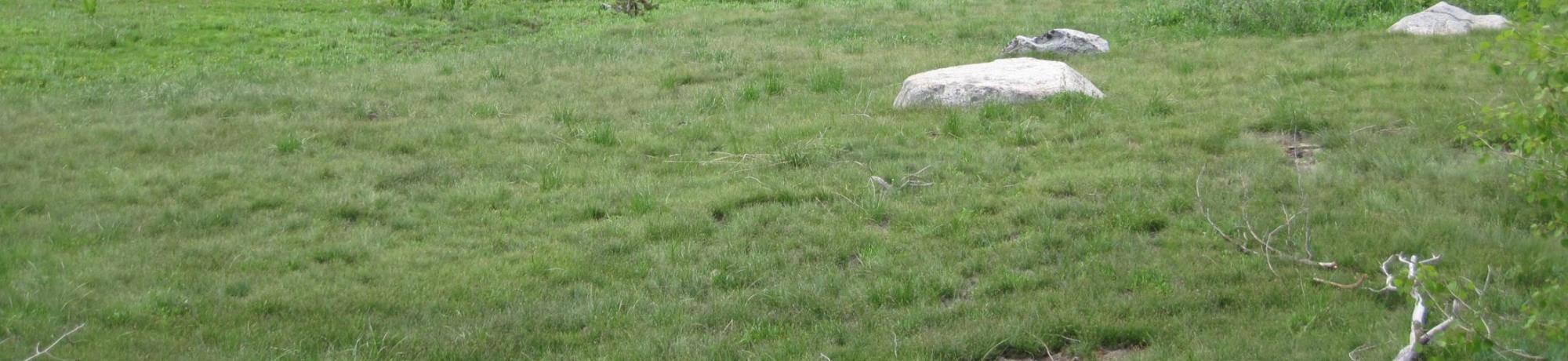 Upper Transect Overview (left to right)