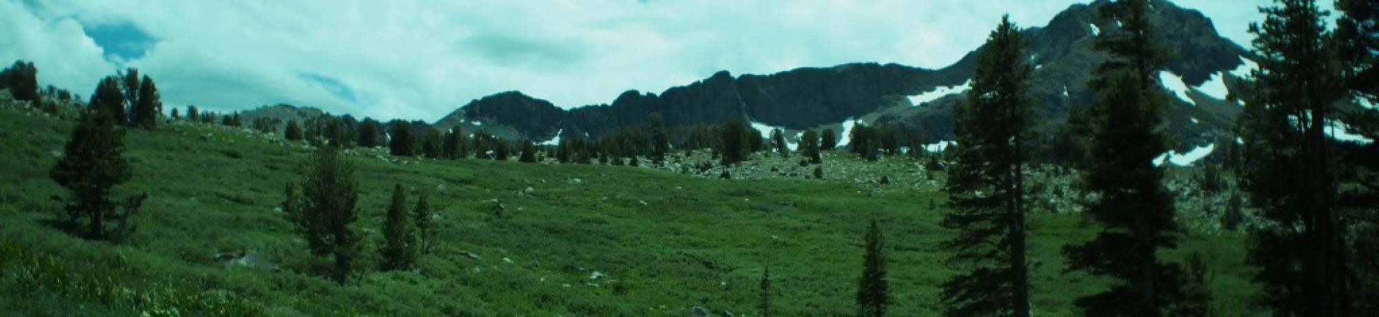 View across polygon